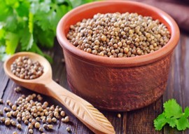 Coriander Seeds