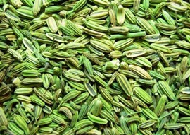 Fennel Seeds Europe Quality