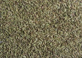 Fennel Seeds Singapore Quality