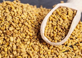 Fenugreek Seeds